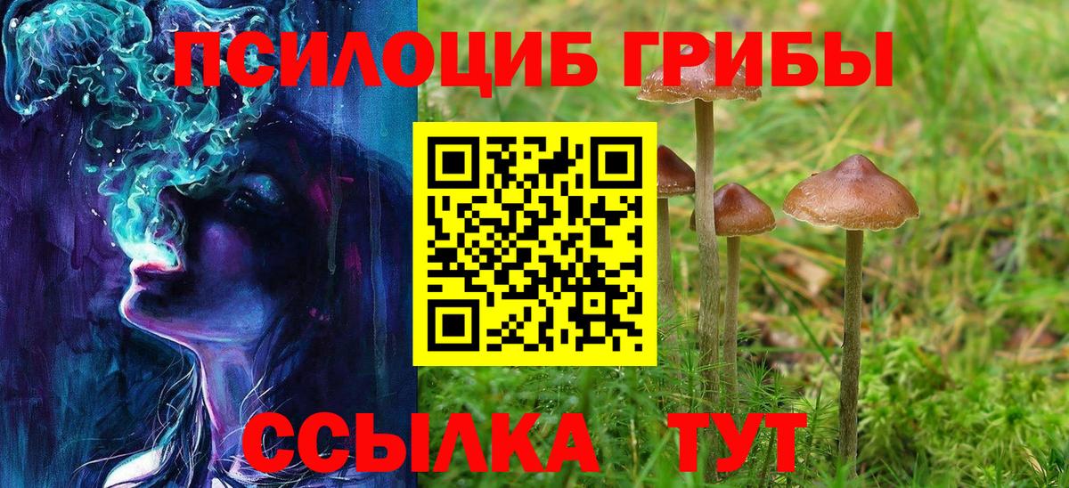 Псилоцибиновые грибы Psilocybe Чебаркуль