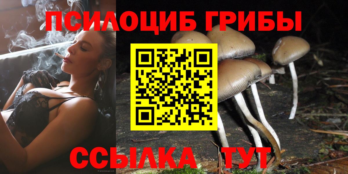 Чебаркуль  Галлюциногенные грибы MAGIC MUSHROOMS  Вход с VPN 